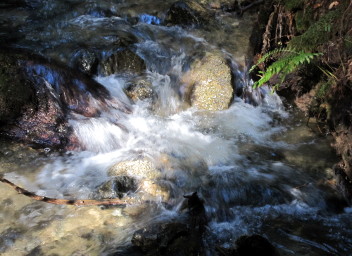 fall creek cascade